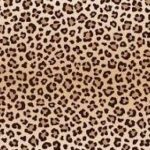 Leopar Desen Elbise